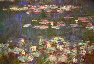 Waterlily Paintings