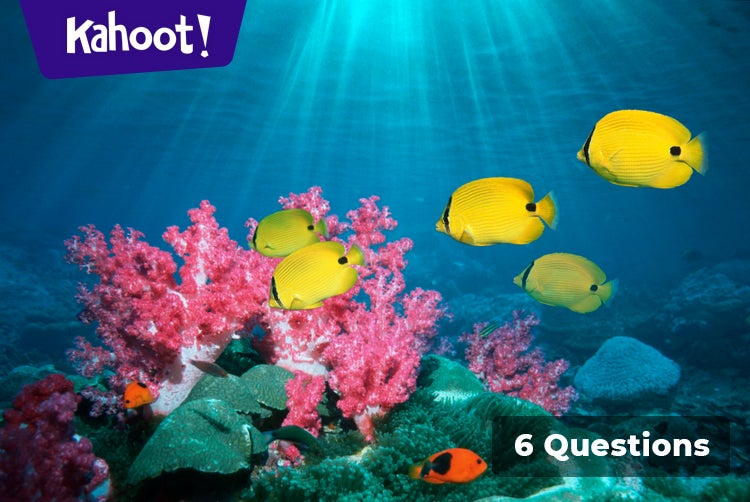 Fisk som svømmer - Kahoot! Quiz
