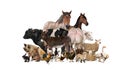 Group of many farm animals standing together