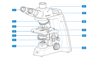 Parts of a light microscopes