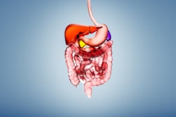 human digestive system