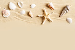 Summer vacation and beauty sand mock up with shell, starfish and sand on beige background,