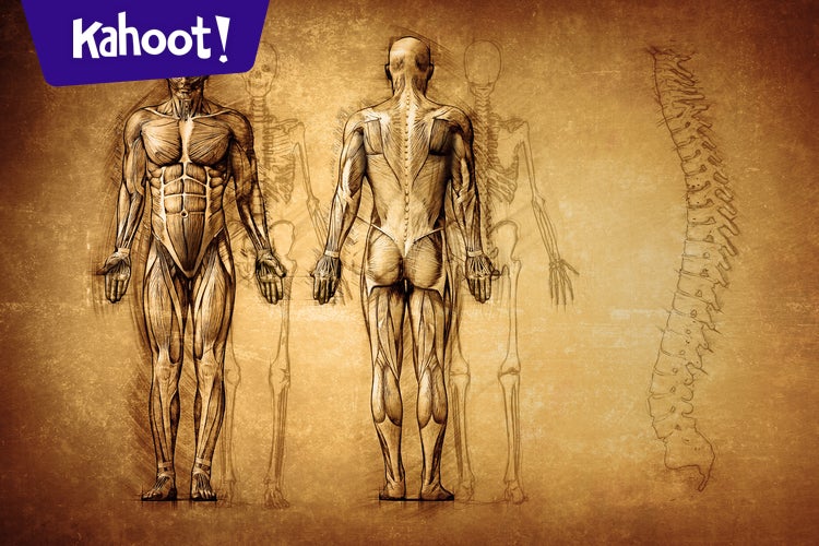 Solutions Intermediate 3A Body Parts - Kahoot! Quiz