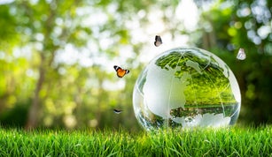 Concept Save the world save environment The world is in the grass of the green bokeh background