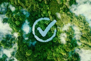 An icon of a goal fulfilled in the form of a clear pond in the middle of a lush forest. 3d rendering.