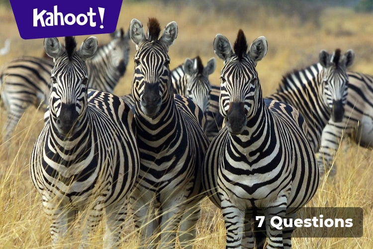 Final review 2nd grade kahoot quiz