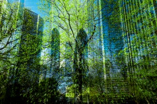 Composite of trees and skyscrapers in London financial district