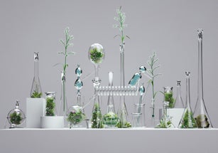Ecosystem