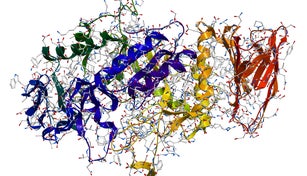 Enzyme Alpha-Amylase 3D molecular structure