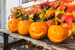 Halloween pumpkins on wooden bench