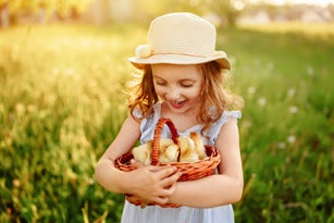 Girl carry a basket with small chicks in her hands. Easter Holiday wishes postcard