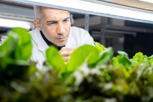 Agricultural Researchers Studying Indoor Farming Techniques