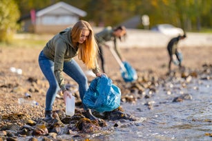 Young volunteers cleaning beach on sunny day