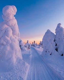 Snowmobile track in finnish Lapland winter scenery