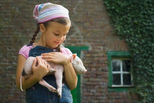 A girl holding a piglet