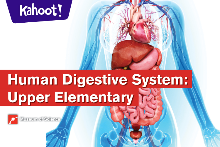 Human Digestive System: Upper Elementary - Kahoot! Quiz