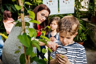 Teacher Showing Children How To Look At Plants Through Magnifying Glass