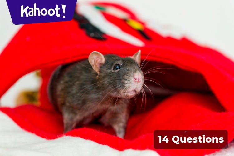 Milo the Brave Mouse - Kahoot! Quiz