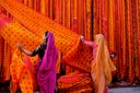 India, Rajasthan, Sari Factory