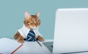Pensive Bengal cat in a blue tie near a laptop and a diary sits, home office. Remote work, freelance