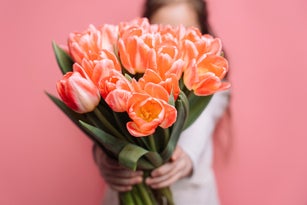 Beautiful bouquet of pink tulips in children's hands on a pink background, mother's day