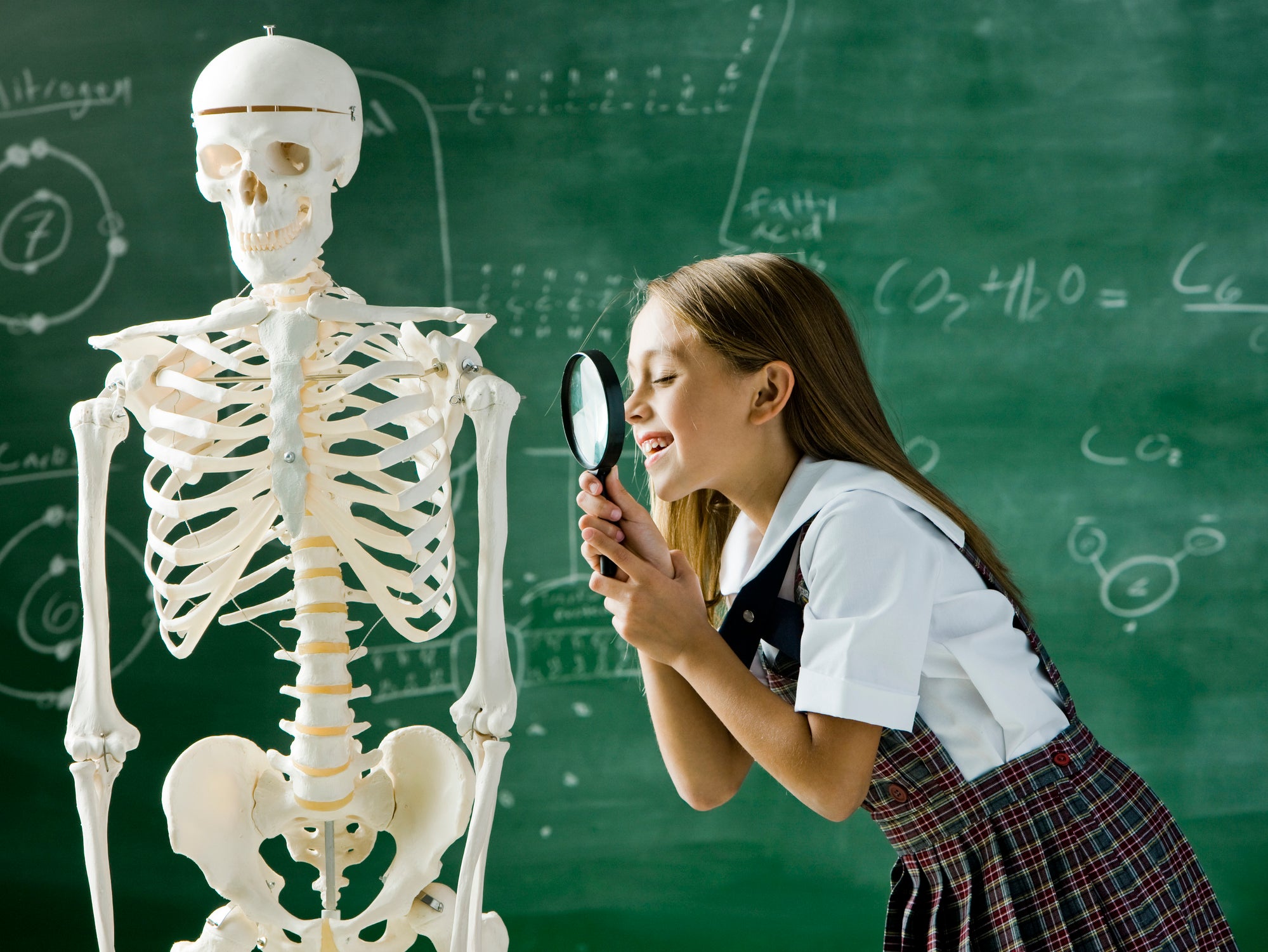 girl in a classroom standing in front of a chalkboard examining a human skeleton with a magnifying glass
