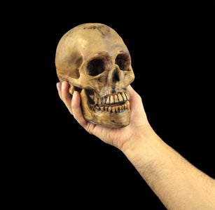 Holding human skull in hand. Conceptual image.( Shakespeare's Hamlet scene concept )