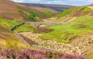 Surrender Bridge, near Reeth in Swaledale when purple heather is in full bloom