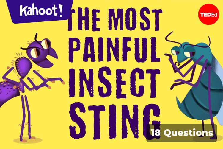 The most painful insect sting - Kahoot! Quiz