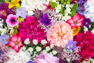 Arrangement of June garden flowers viewed from above