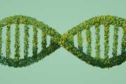 Green DNA