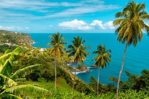 East Coast on the Caribbean Island of Dominica