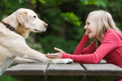 Dog sitting across from girl on picnic table