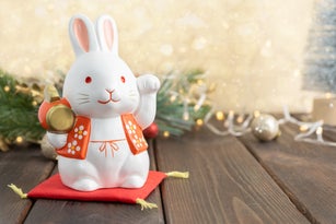 Symbol of the Chinese New Year of the rabbit