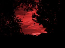 Night of Terror