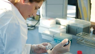 Laboratory professional working in a lab