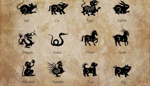 Twelve animals of the chinese zodiac, vintage sepia background