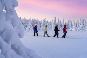 Family exploring a frozen snowy forest at dawn