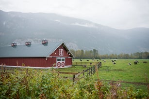 Farm