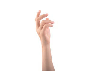Female arm including hand fingers and thumb, the part of body isolated on white background