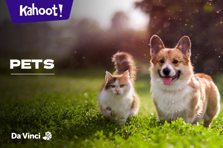 Pets - Kahoot! Quiz