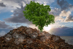 Garbage dump with scrap environmental destruction of nature