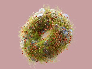 Ecosystem