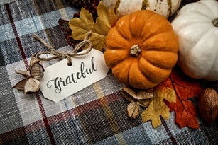 Autumn White Small pumpkins on plaid background with Baby breath flowers