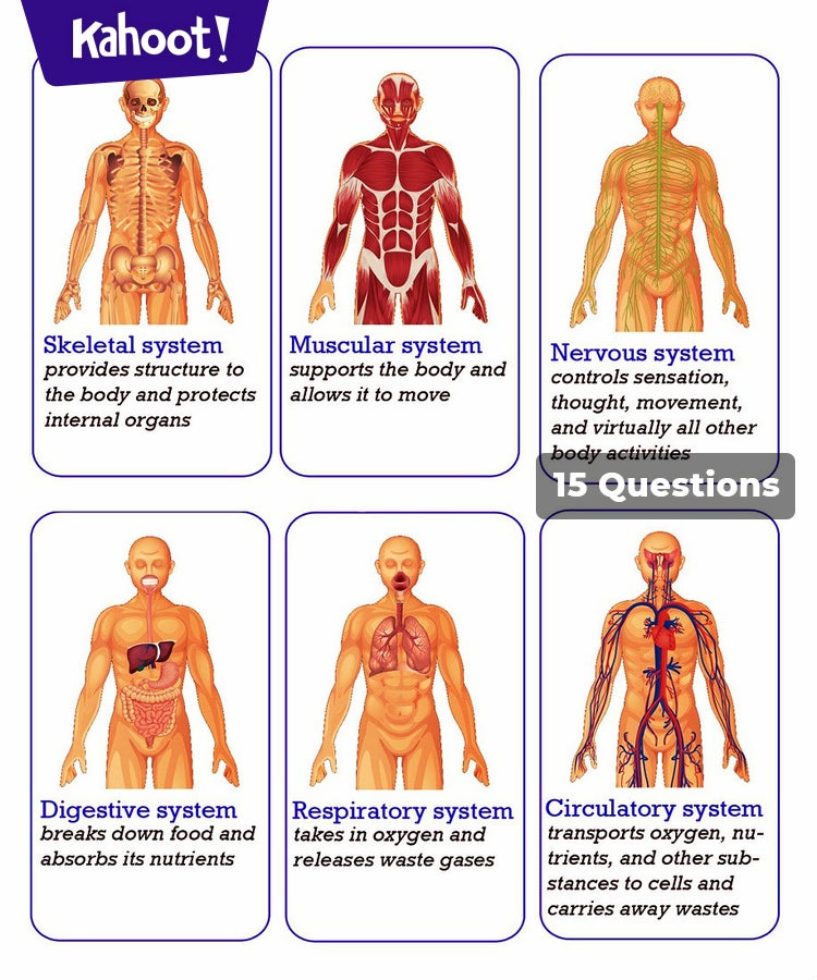 Human Body Systems Review - Kahoot! Quiz
