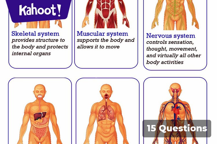 Human Body Systems Review - Kahoot! Quiz