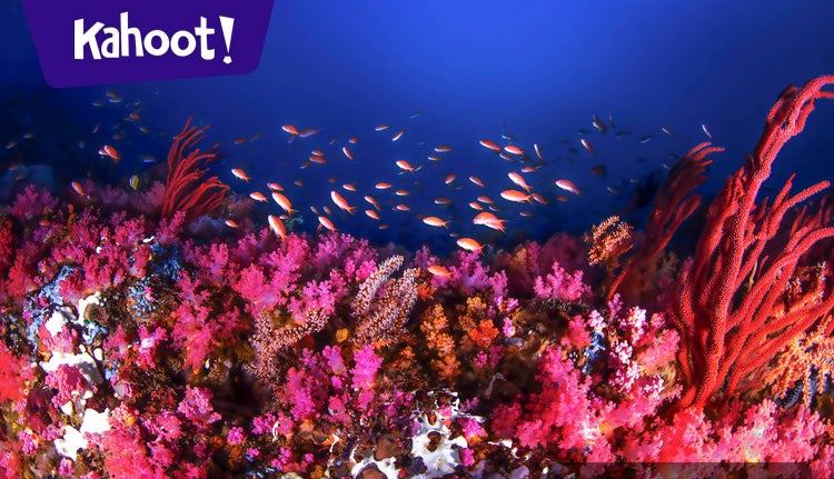 Testing self-driving tech, sunscreen damages coral, and space age ...