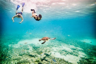 Wide shot underwater view of couple snorkeling near sea turtle swimming in tropical sea