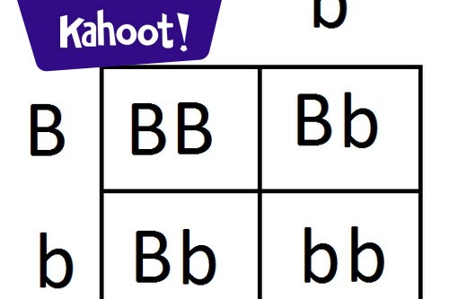 Genetics Quiz | Test Your Knowledge of DNA & Heredity
