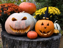 Halloween decorated pumkins